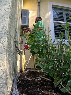 Image gallery marquee